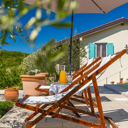 Villa Beautiful Cartolina With Pool In Buje *